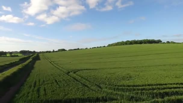 Fälten i den engelska landsbygden — Stockvideo