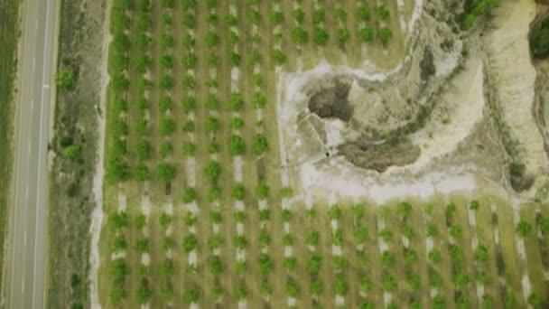 Tiro aéreo de campos — Vídeo de Stock