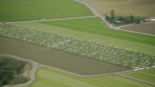 Champs avec différents types d'agriculture — Video