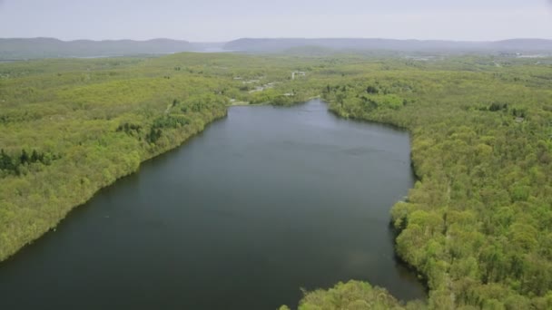 Green forest and lake — Stock Video