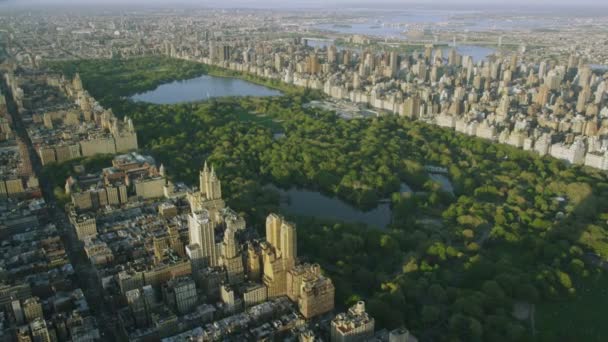 Central Park in New York City — Stockvideo