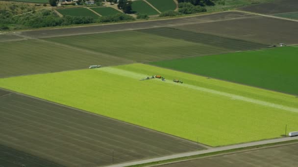 Felder mit verschiedenen Arten der Landwirtschaft — Stockvideo