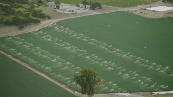 Campos con diversos tipos de agricultura — Vídeo de stock