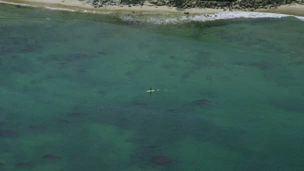 California Coastline lungo il Big Sur — Video Stock