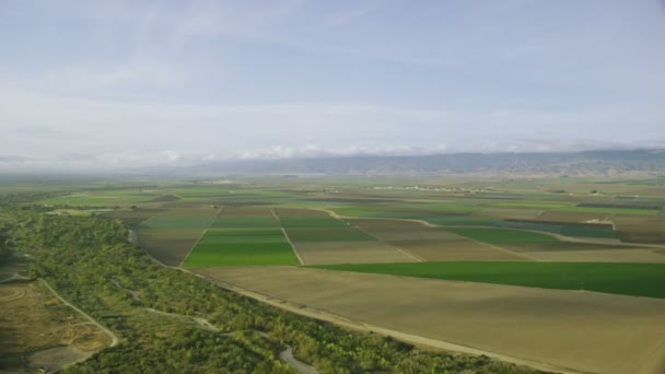 Campos com vários tipos de agricultura — Vídeo de Stock