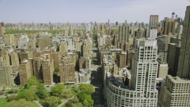 Central Park em Nova York — Vídeo de Stock