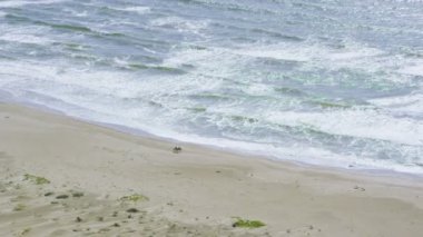 California kıyı şeridinde Big Sur