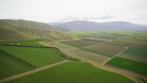 Campi con vari tipi di agricoltura — Video Stock