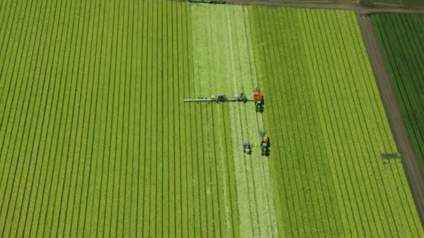 Luchtfoto van de boerderij — Stockvideo