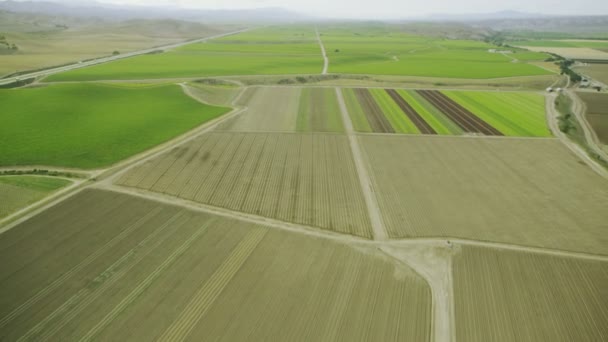 Pole s různými zemědělství — Stock video