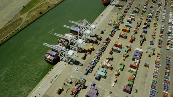 Porto di Los Angeles banchine — Video Stock