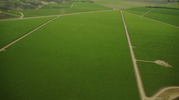 Campos com vários tipos de agricultura — Vídeo de Stock