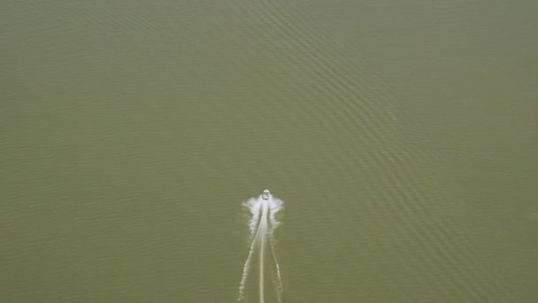 Lancha rápida en el río Hudson — Vídeo de stock