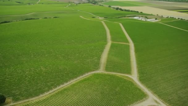 Felder mit verschiedenen Arten der Landwirtschaft — Stockvideo