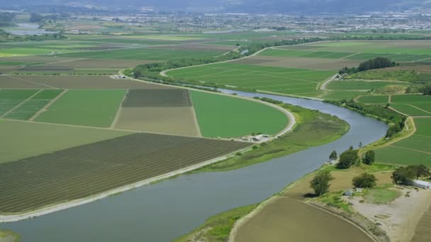 Velden met verschillende soorten landbouw — Stockvideo