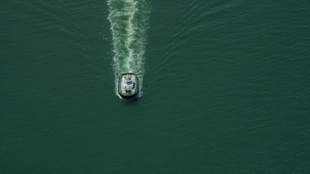 Container ship in at sea near San Francisco — Stock Video