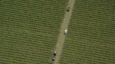 Çeşitli tarım alanları