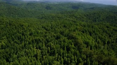 California state park 