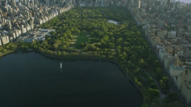 ニューヨーク市のセントラルパーク — ストック動画