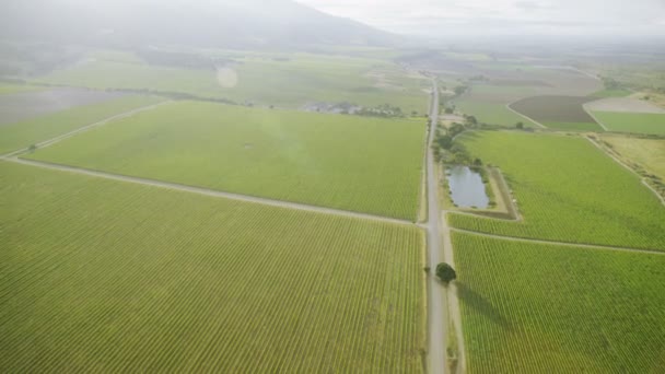 Felder mit verschiedenen Arten der Landwirtschaft — Stockvideo