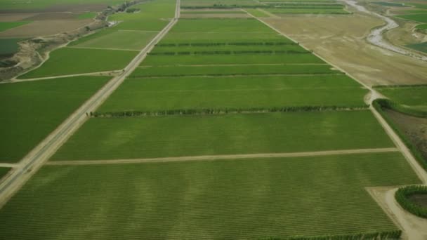 Fält med olika typer av jordbruk — Stockvideo