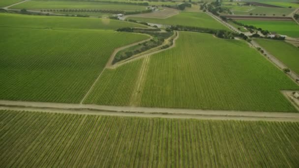 Felder mit verschiedenen Arten der Landwirtschaft — Stockvideo