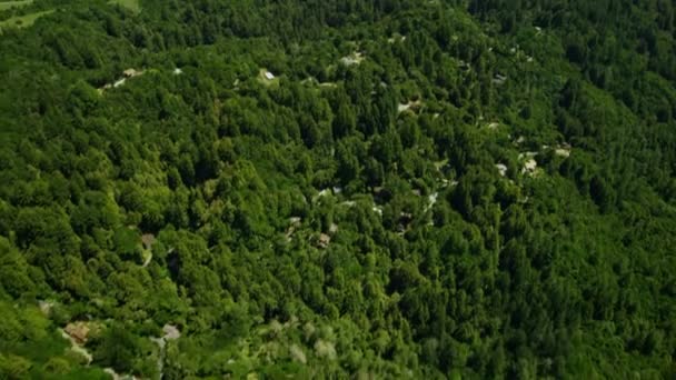 Califórnia parque estadual — Vídeo de Stock