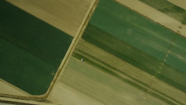 Fält med olika typer av jordbruk — Stockvideo