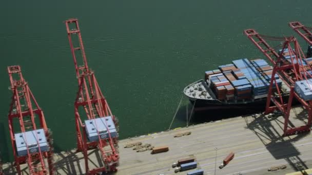 Los Angeles shipping port docks — Stock Video