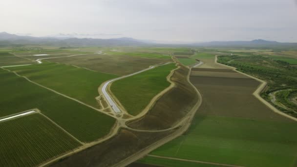 Campos con diversos tipos de agricultura — Vídeo de stock