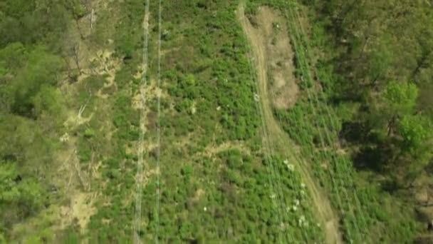 Vue aérienne des pylônes d'électricité 