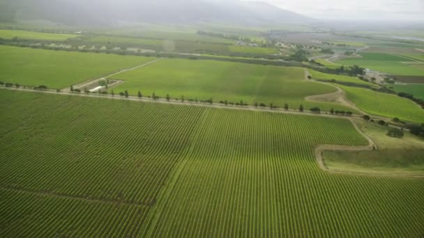 Felder mit verschiedenen Arten der Landwirtschaft — Stockvideo