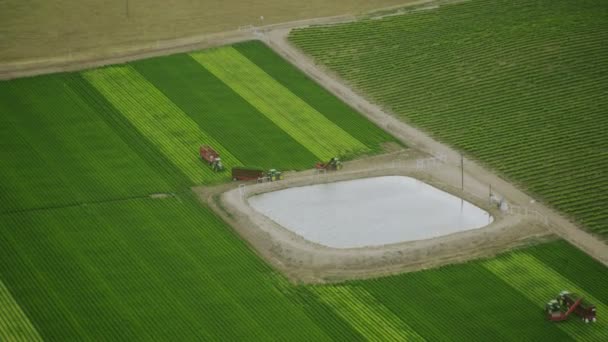 Traktoren und Landwirt auf Feldern — Stockvideo