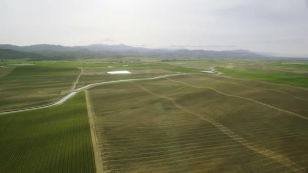 Campos com vários tipos de agricultura — Vídeo de Stock