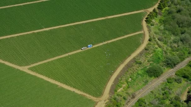 Luftaufnahme von Feldern — Stockvideo