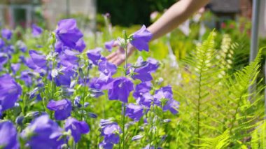 Çiçekler dokunmadan kadın