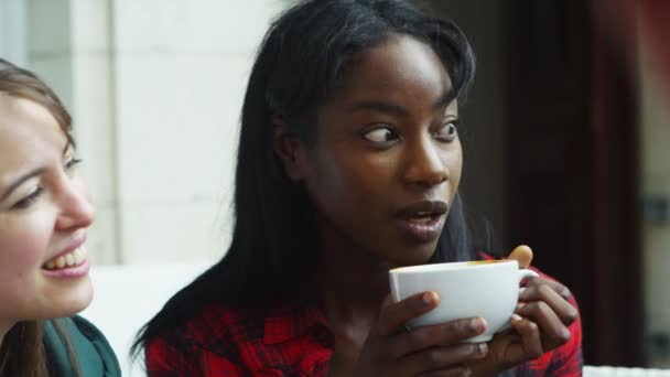 Amis bavarder au café en plein air — Video