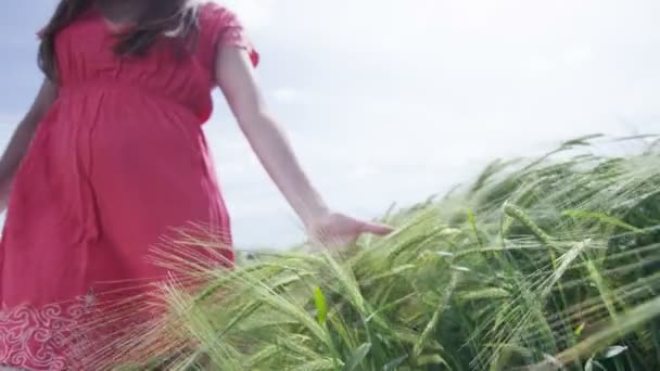 Vrouw unning haar hand door de grassen — Stockvideo