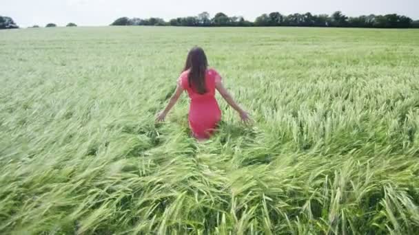 femme marchant à travers l'herbe longue  