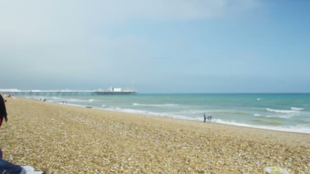 Vrienden opknoping uit bij het strand — Stockvideo