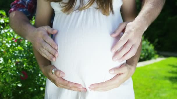 Couple make a heart  with hands on pregnant belly — Stock Video