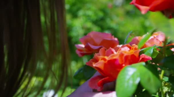 Woman smelling roses — Stock Video