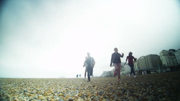 Друзья, развлекающиеся на пляже — стоковое видео