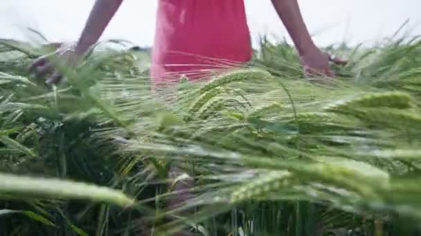 Mujer caminando por la hierba larga — Vídeo de stock