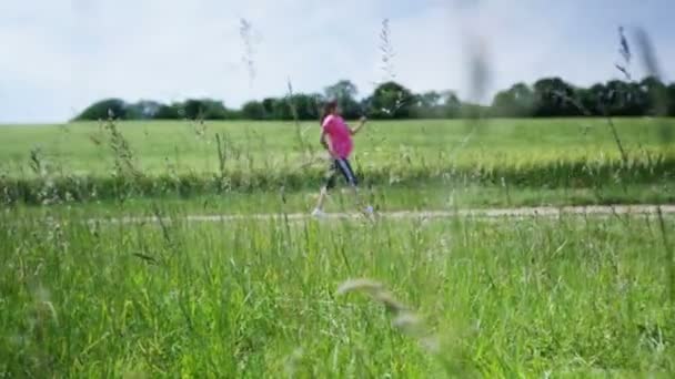 Mujer caminando en el campo — Vídeo de stock