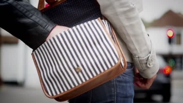 Handtasche der Frau von gewieften Taschendieben gestohlen — Stockvideo
