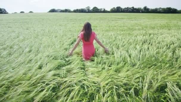 femme marchant à travers l'herbe longue  