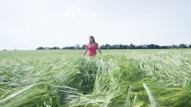 Vrouw lopen door het lange gras — Stockvideo