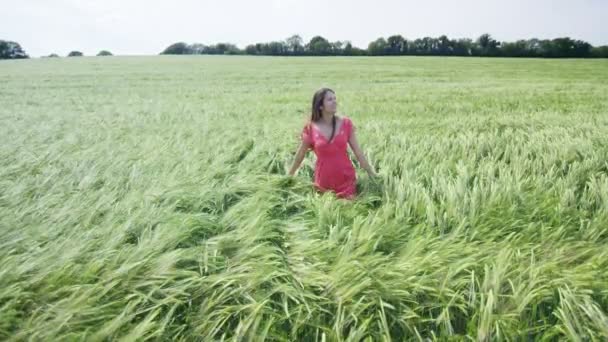Женщина идет по длинной траве — стоковое видео