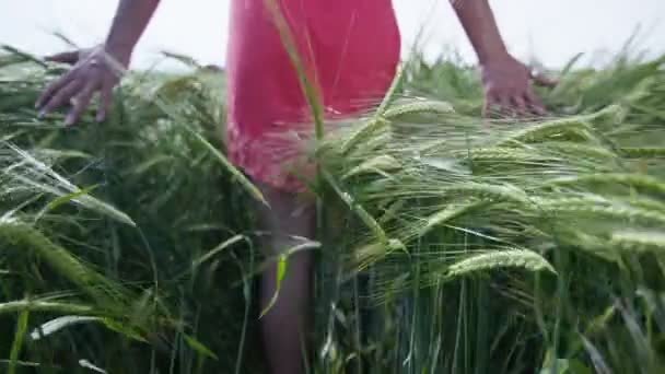 Femme marchant à travers l'herbe longue — Video